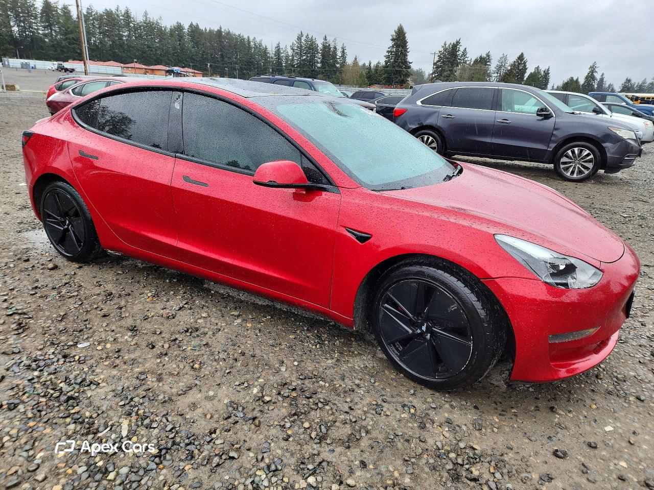 Tesla Model 3 2021