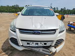 Ford Escape 2015