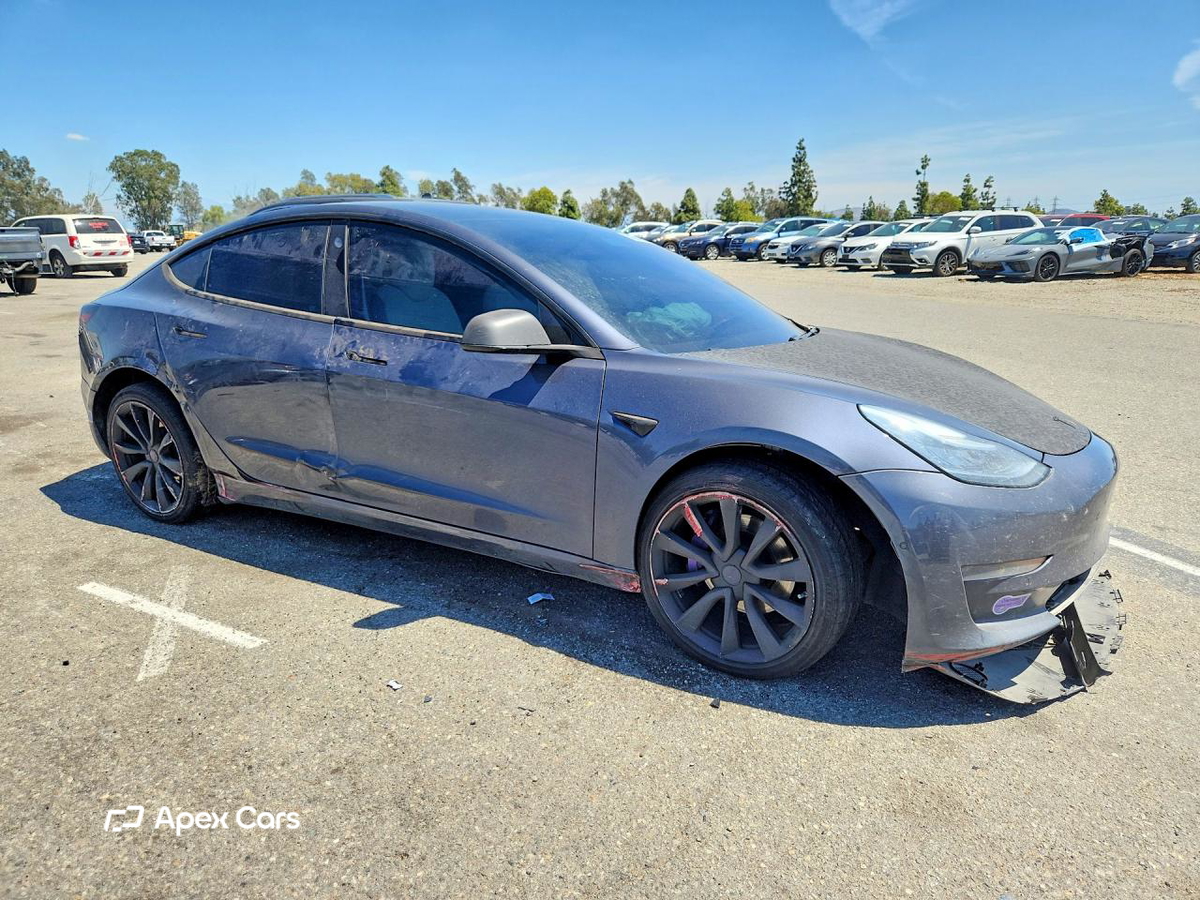 Tesla Model 3 2019