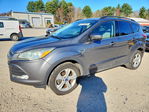 Ford Escape 2014