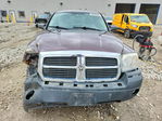 Dodge Dakota 2005