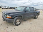 Dodge Dakota 2004
