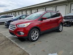 Ford Escape 2019