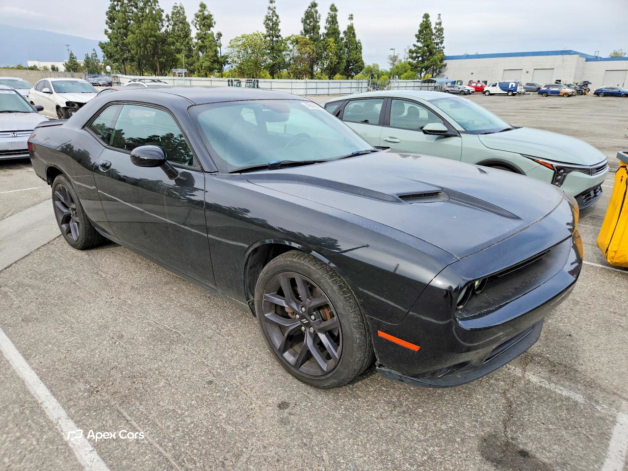 Dodge Challenger 2019