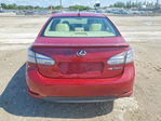 Lexus HS 2011