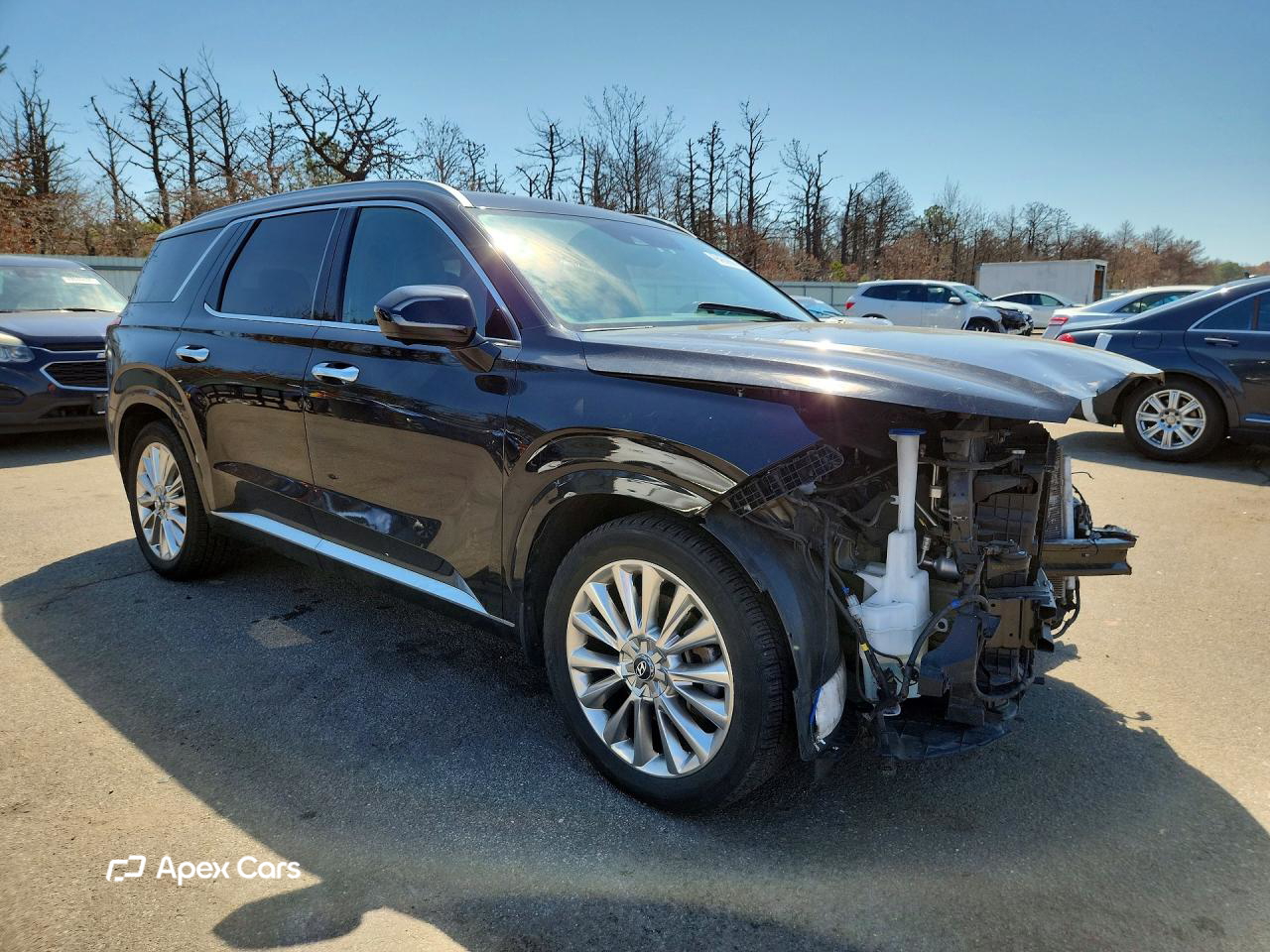 Hyundai Palisade 2020