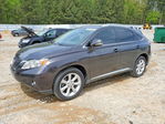 Lexus RX 2010