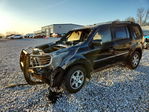 Honda Pilot 2009