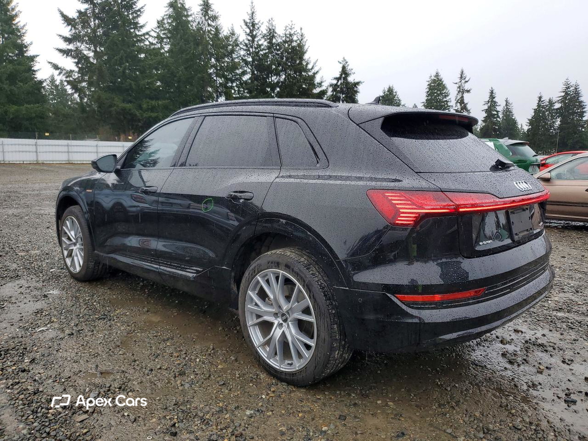 Audi e-tron 2021