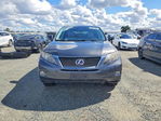 Lexus RX 2010