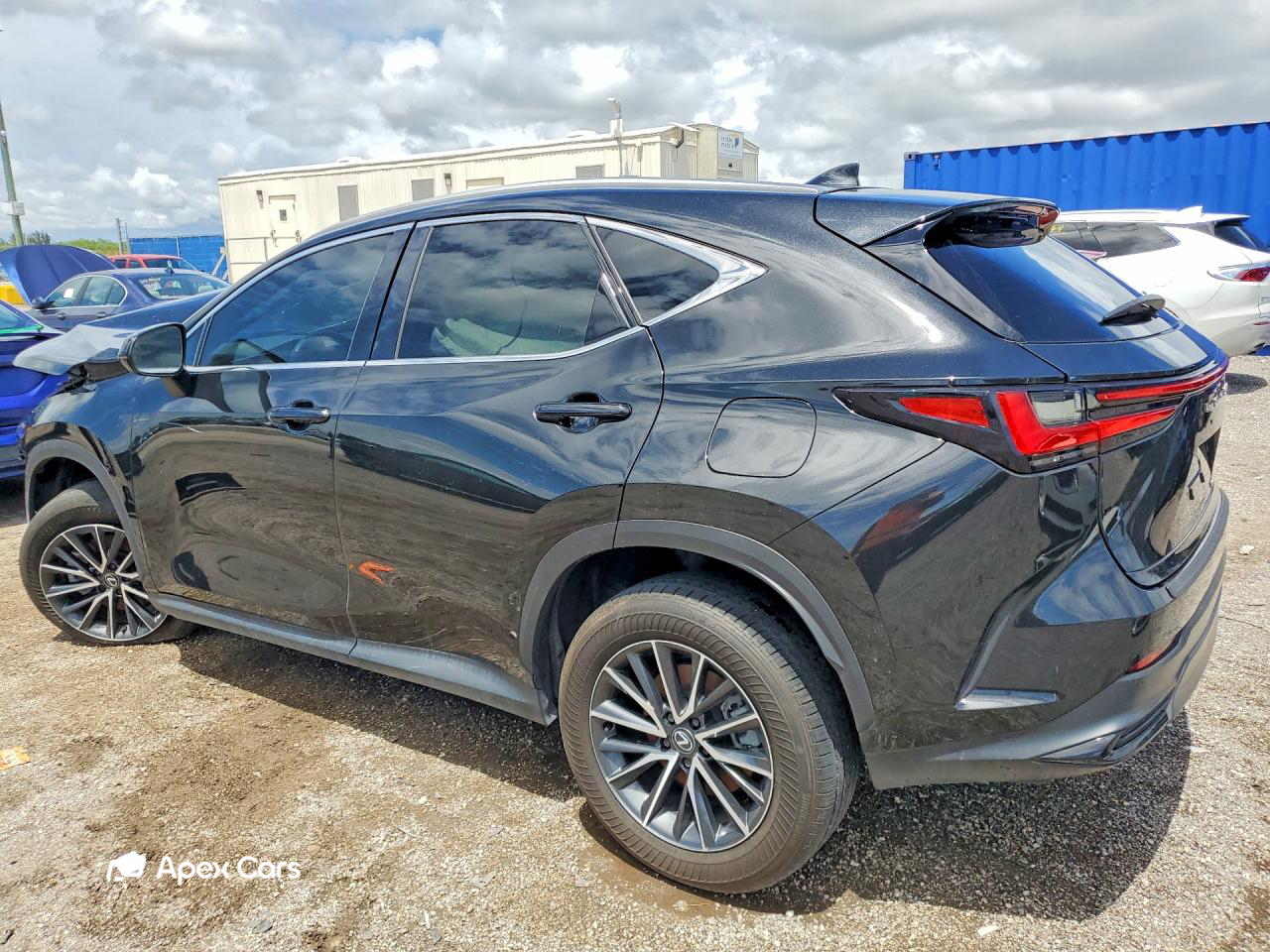 Lexus NX 2024