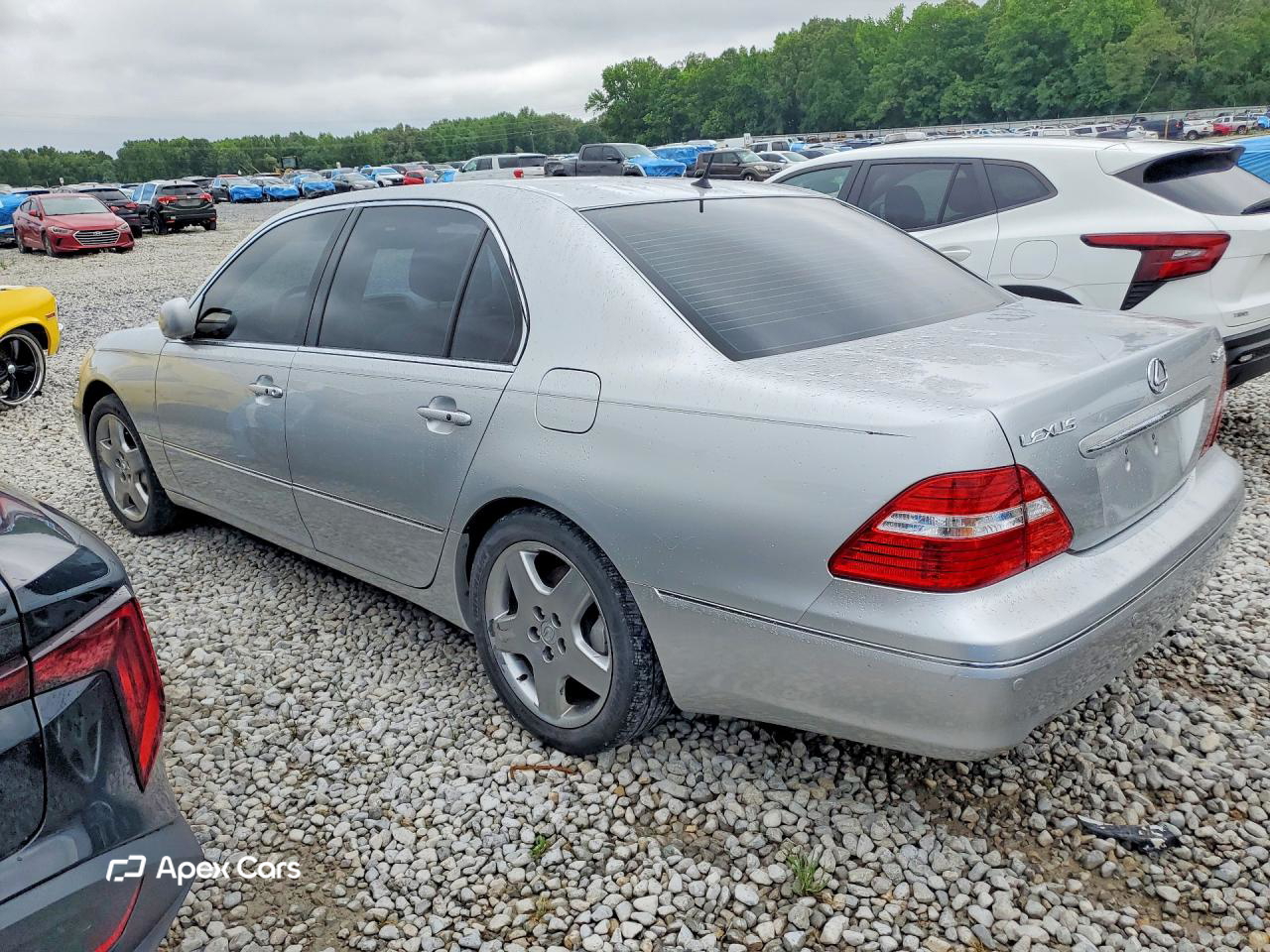 Lexus LS 2006