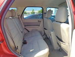 Ford Escape 2012