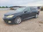 Lexus ES 2012