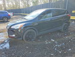 Ford Escape 2013