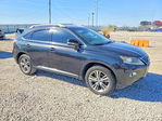 Lexus RX 2015
