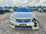 Honda Accord 2013
