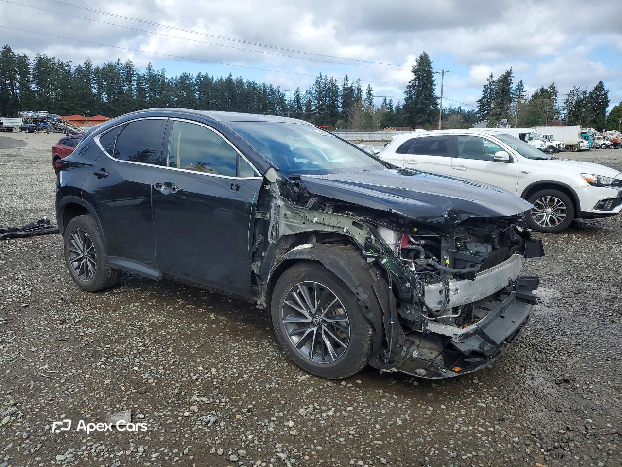 Lexus NX 2023