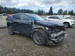 Lexus NX 2023