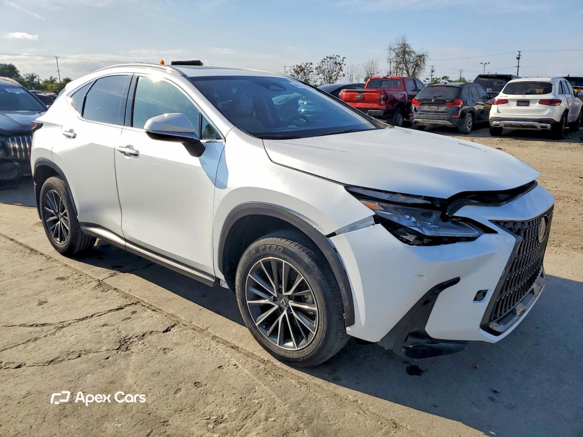 Lexus NX 2024