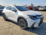 Lexus NX 2024