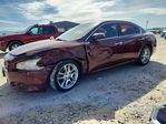 Nissan Maxima 2012