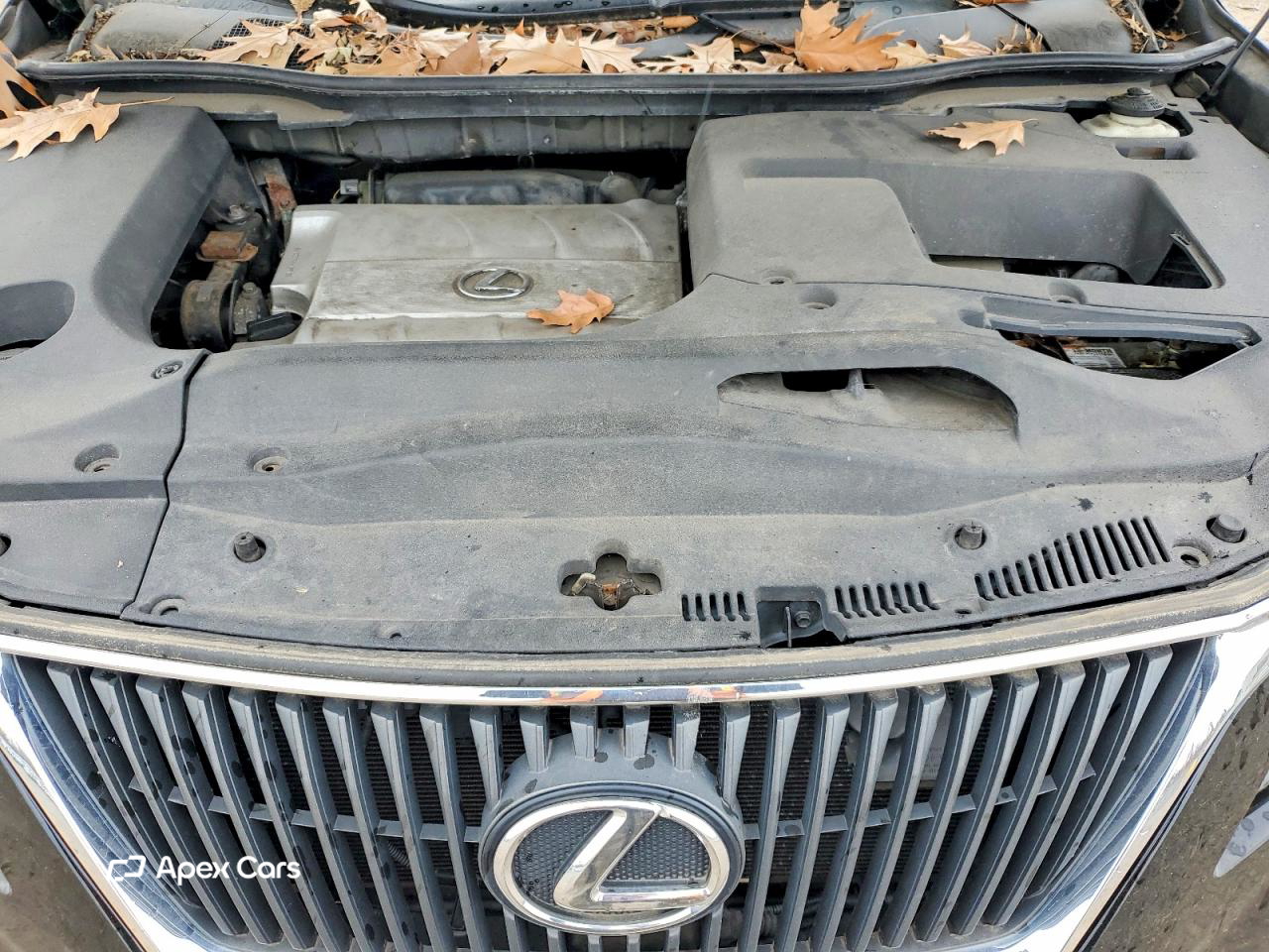 Lexus RX 2010