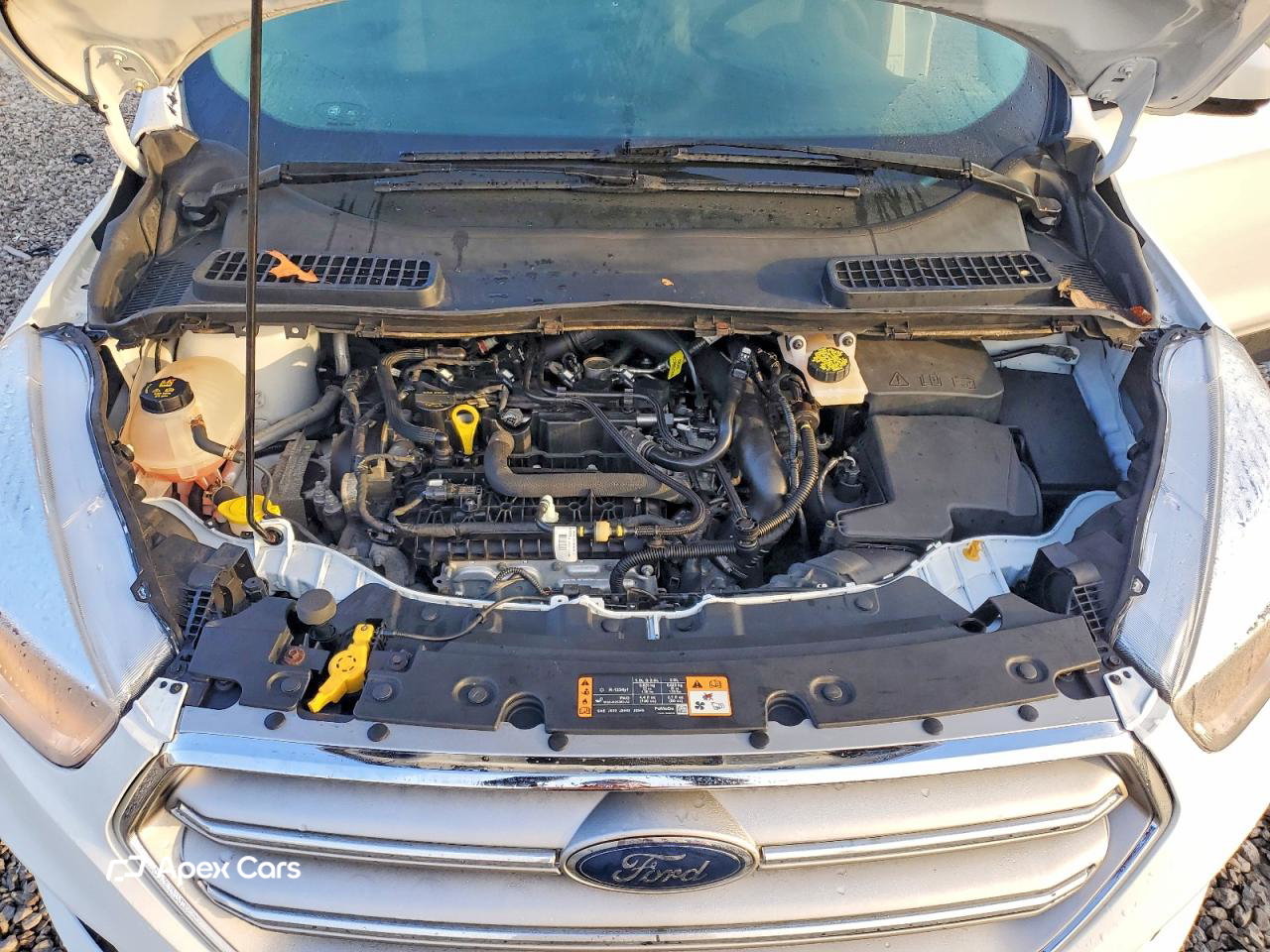 Ford Escape 2019