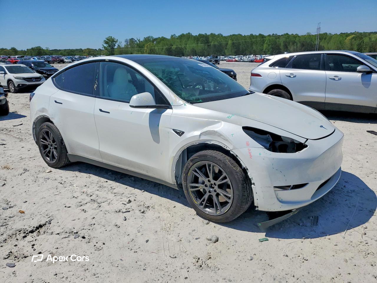 Tesla Model Y 2024