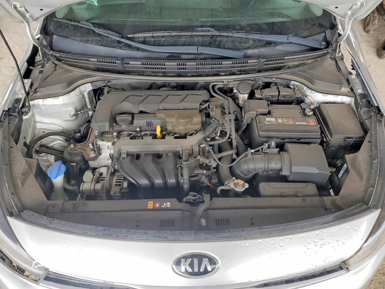 Kia Rio 2021