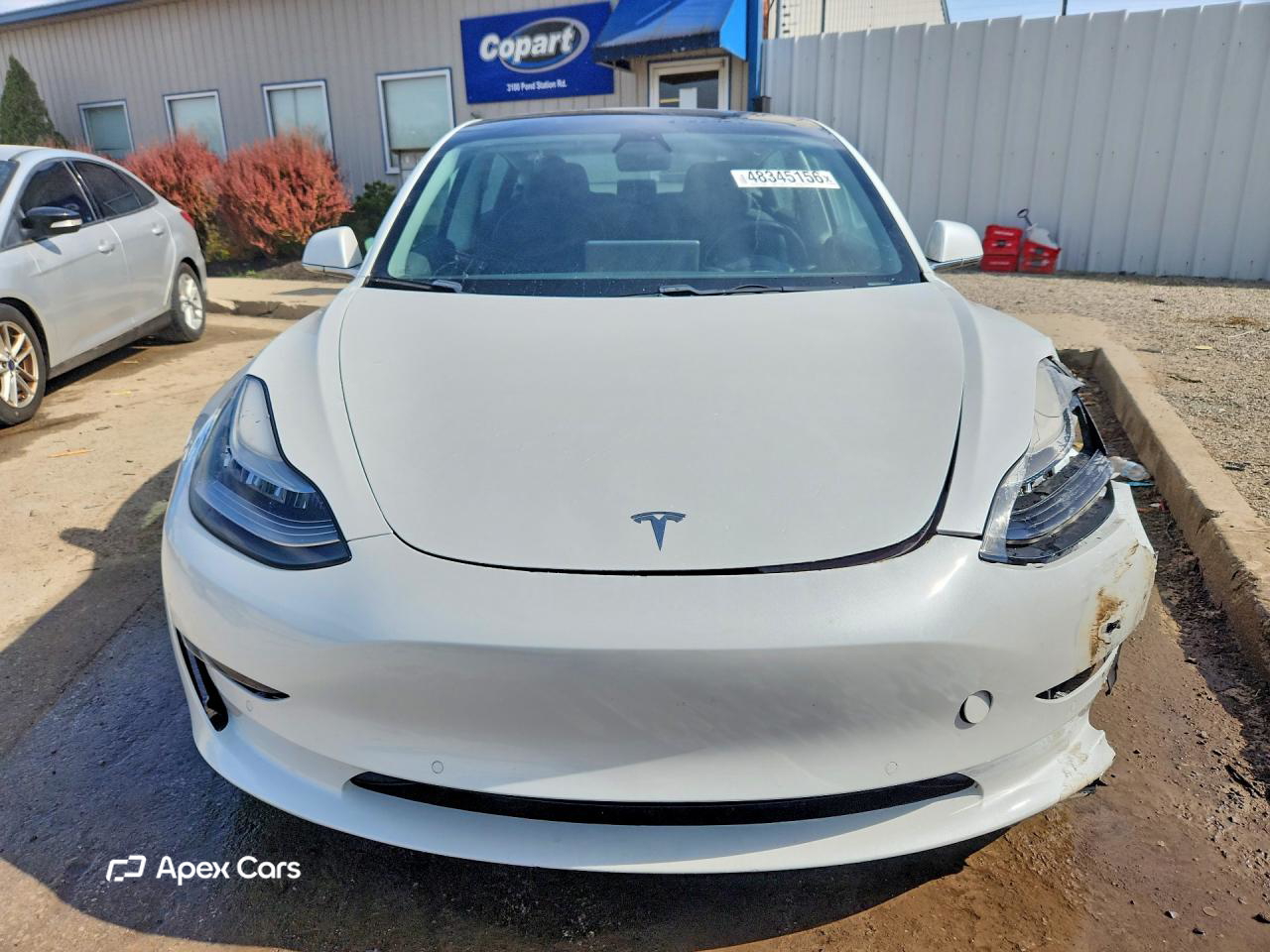 Tesla Model 3 2019