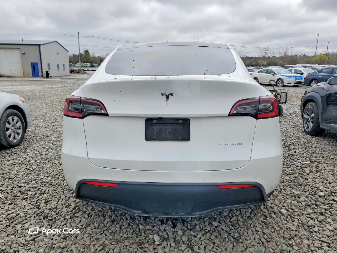 Tesla Model Y 2020