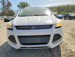Ford Escape 2013