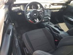 Ford Mustang 2016