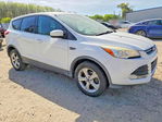 Ford Escape 2013