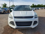 Ford Escape 2015