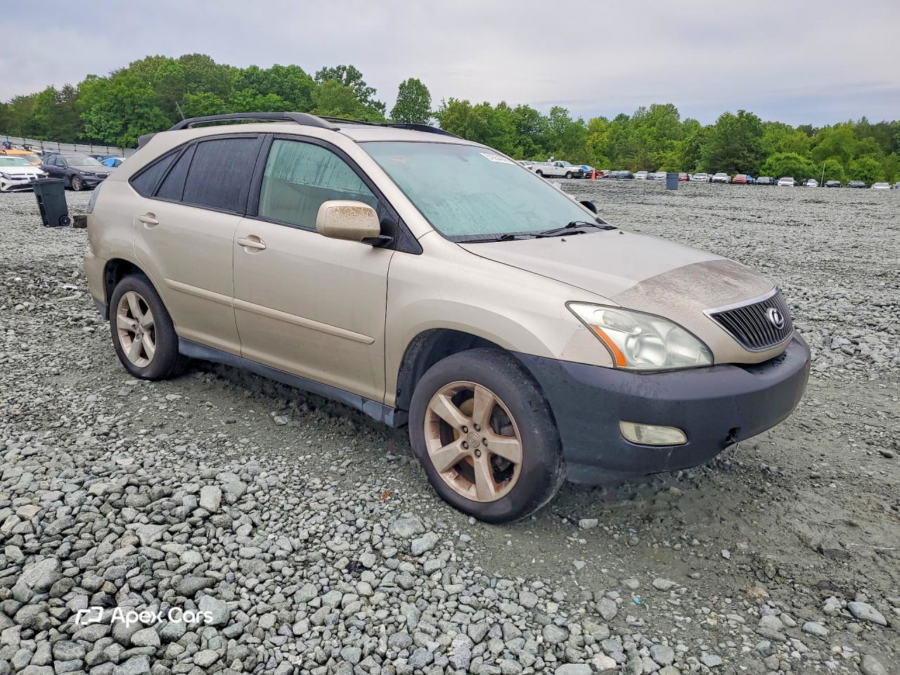 Lexus RX 2006