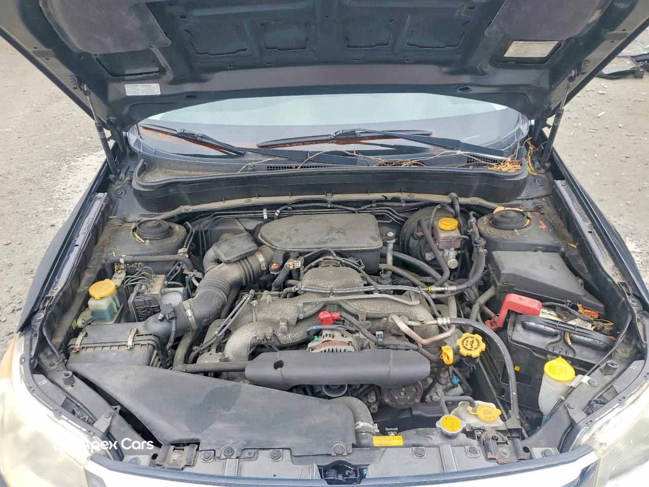 Subaru Forester 2010