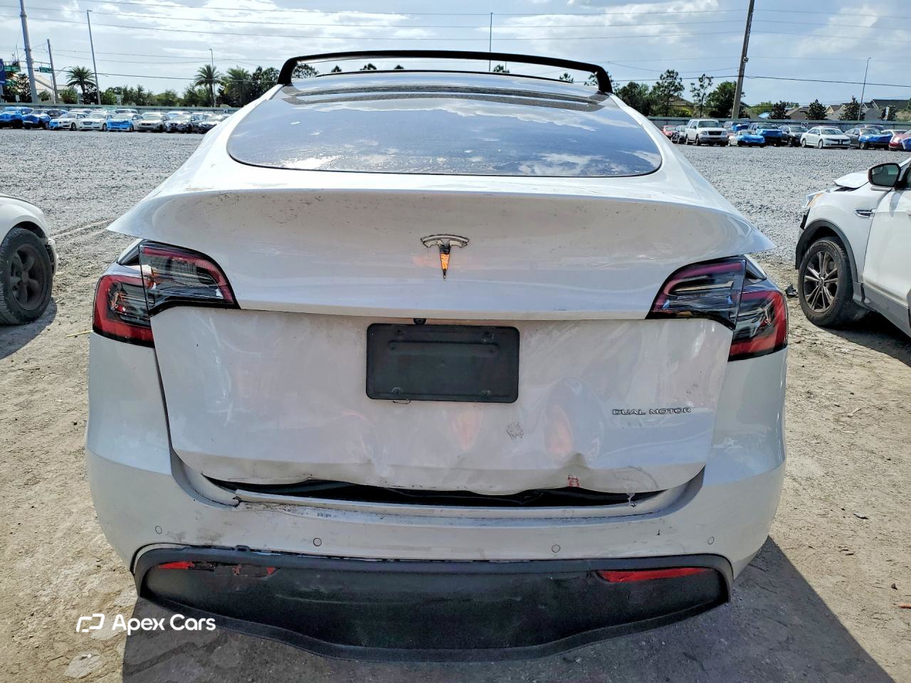 Tesla Model Y 2020