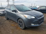 Ford Escape 2016