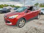 Ford Escape 2015