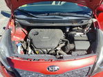 Kia Rio 2013