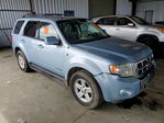 Ford Escape 2008