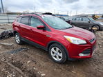 Ford Escape 2013