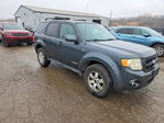 Ford Escape 2008