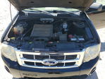 Ford Escape 2012