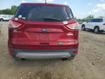 Ford Escape 2014
