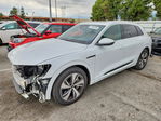 Audi Q8 2024