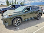 Lexus RX 2021