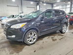Ford Escape 2013